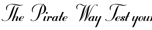 Font : StuyvesantICG-Solid 2 Custom Text : The Pirate Way Test your own text here Click to download or to view this font on a tshirt that can be custom printed in Bali